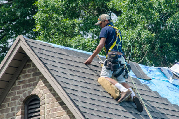 Professional Roofing Contractor in Lapwai, ID